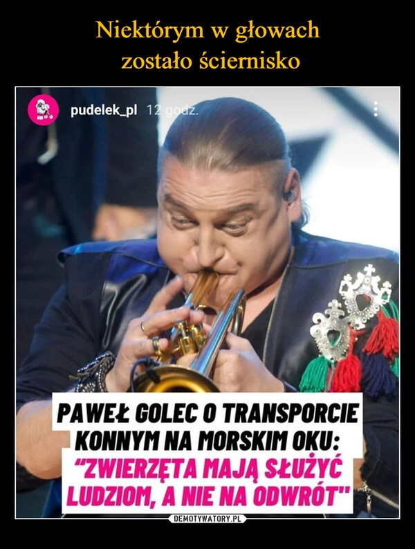 
    Niektórym w głowach
 zostało ściernisko