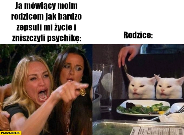 
    Ja mówiący moim rodzicom jak bardzo zepsuli mi życie i zniszczyli psychikę, rodzice zdziwieni kot