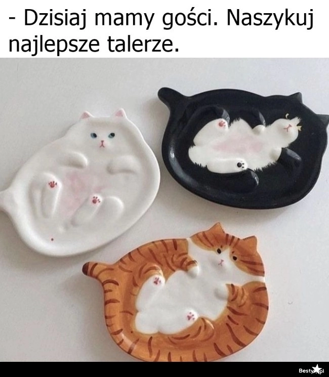 
    Najlepsze talerze 