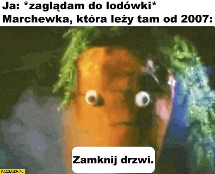 Zaglądam do lodówki, marchewka która leży tam od 2007: zamknij drzwi
