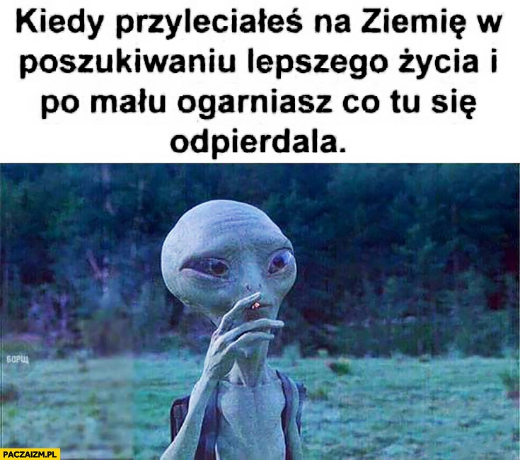 
    Kiedy przyleciałeś na Ziemię w poszukiwaniu lepszego życia i pomału ogarniasz co tu się odpierdziela ufo kosmita pali papierosa