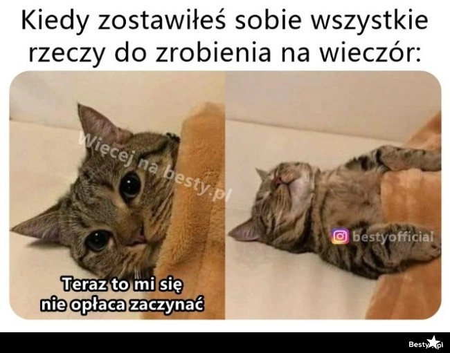 
    Można relaksować się dalej 