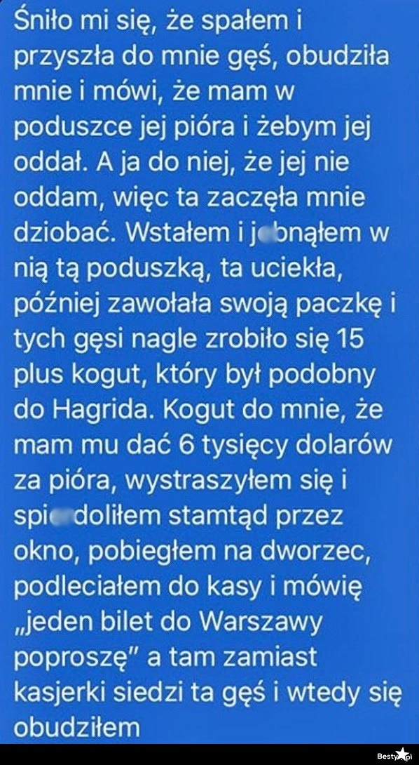 
    Zły sen 