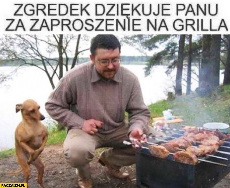 
    Zgredek dziękuje panu za zaproszenie na grilla. Nieśmiały pies