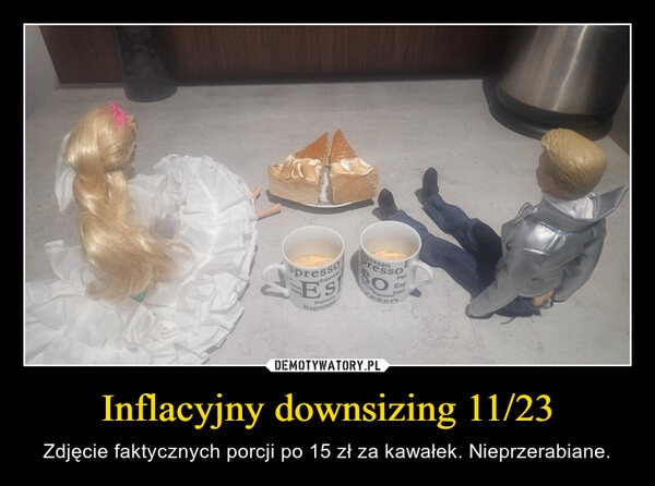 
    Inflacyjny downsizing 11/23