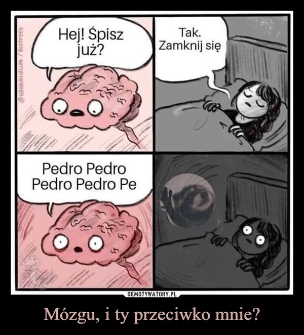 
    Mózgu, i ty przeciwko mnie?