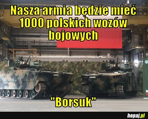 
    Polskie Borsuki dla Polskiej Armii