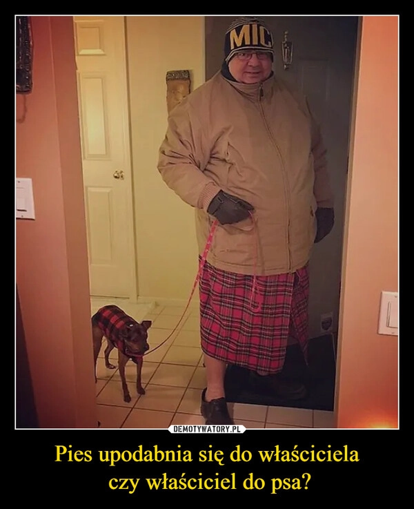 
    Pies upodabnia się do właściciela
 czy właściciel do psa?