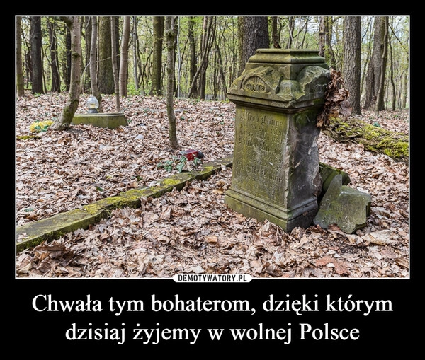 
    Chwała tym bohaterom, dzięki którym dzisiaj żyjemy w wolnej Polsce