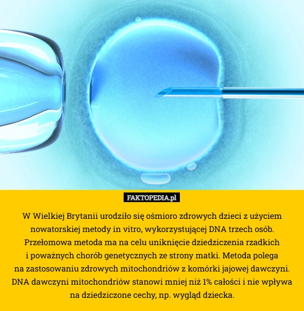 
    W Wielkiej Brytanii urodziło się ośmioro zdrowych dzieci z użyciem nowatorskiej