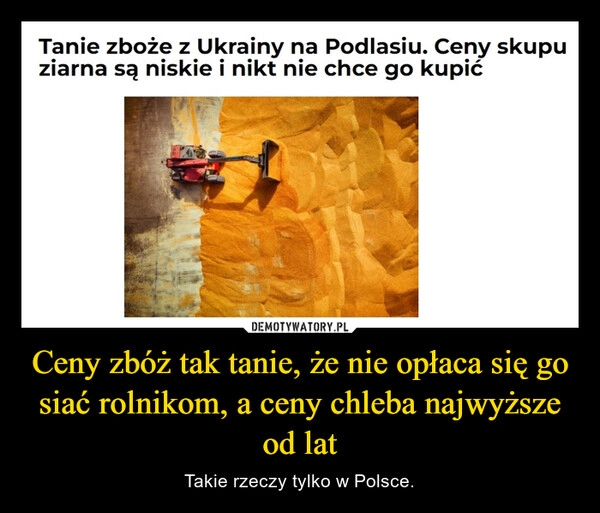 
    Ceny zbóż tak tanie, że nie opłaca się go siać rolnikom, a ceny chleba najwyższe od lat