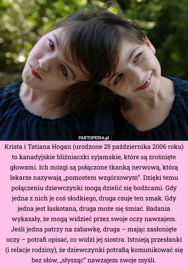 
    Krista i Tatiana Hogan (urodzone 25 października 2006 roku) to kanadyjskie...
