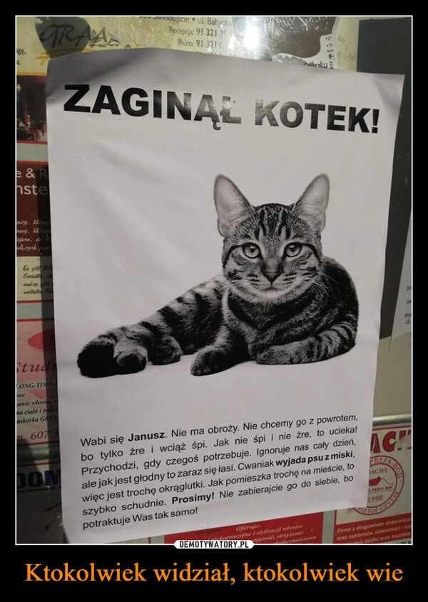 
    Ktokolwiek widział, ktokolwiek wie