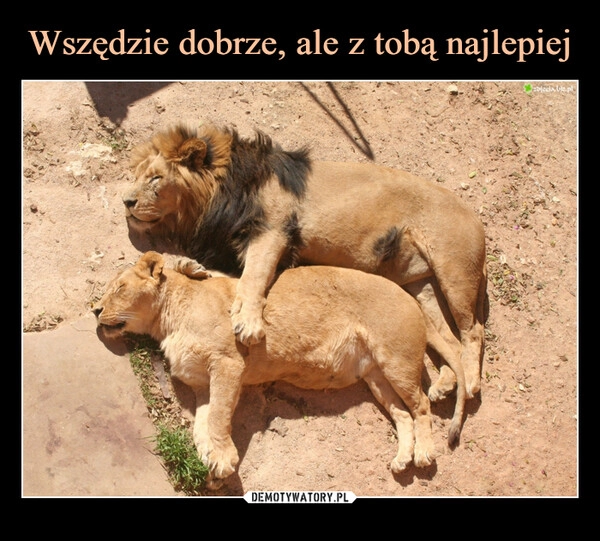 
    Wszędzie dobrze, ale z tobą najlepiej