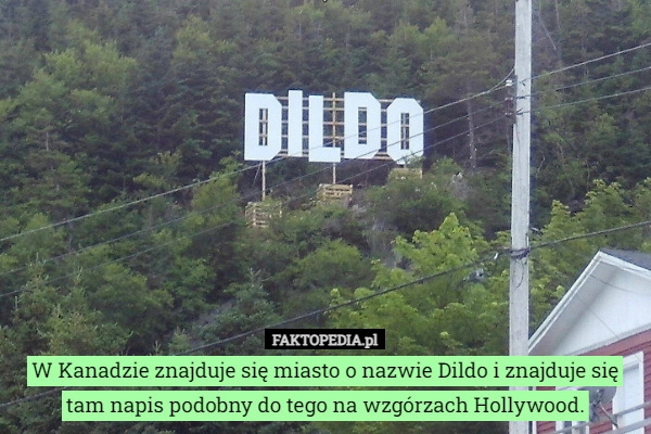 
    W Kanadzie znajduje się miasto o nazwie Dildo i znajduje się tam napis podobny