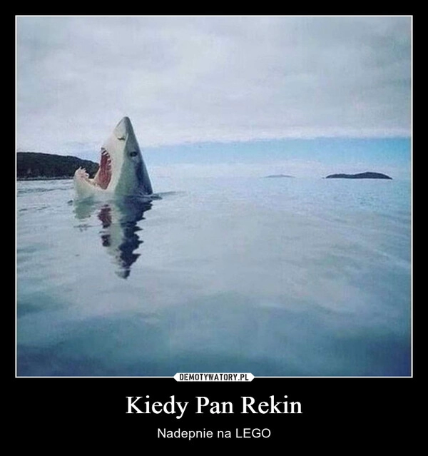 
    Kiedy Pan Rekin