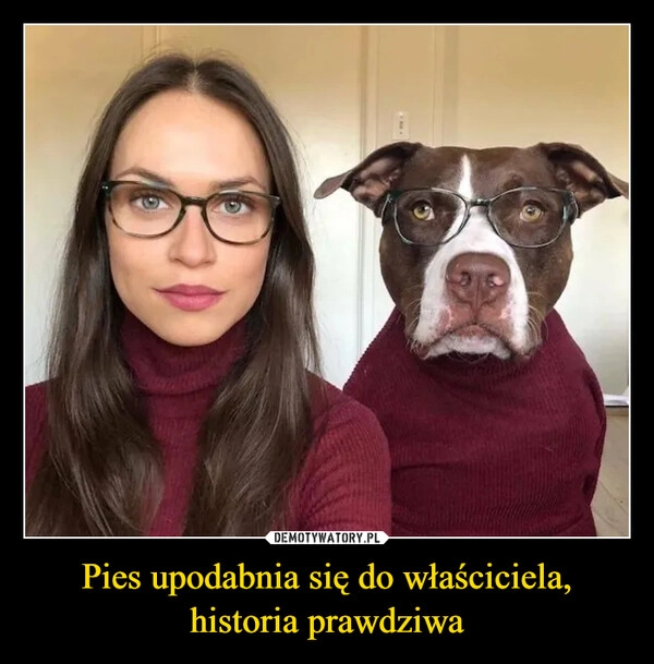 
    Pies upodabnia się do właściciela, historia prawdziwa