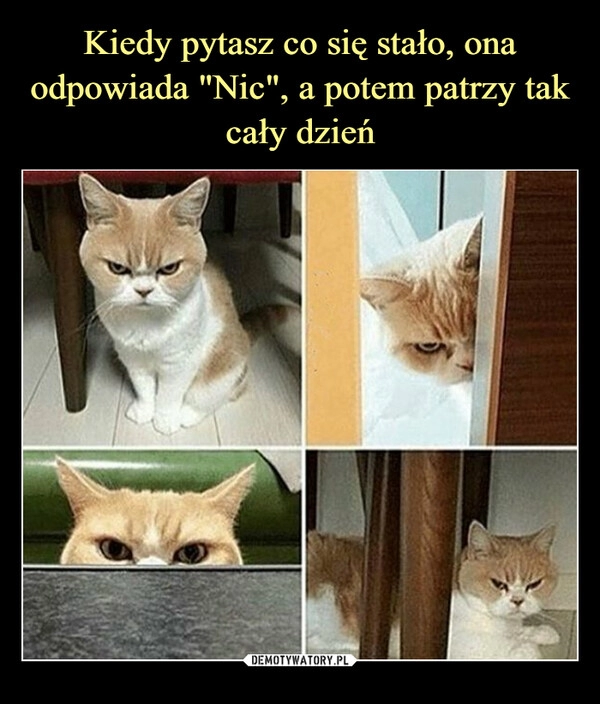 
    Kiedy pytasz co się stało, ona odpowiada "Nic", a potem patrzy tak cały dzień