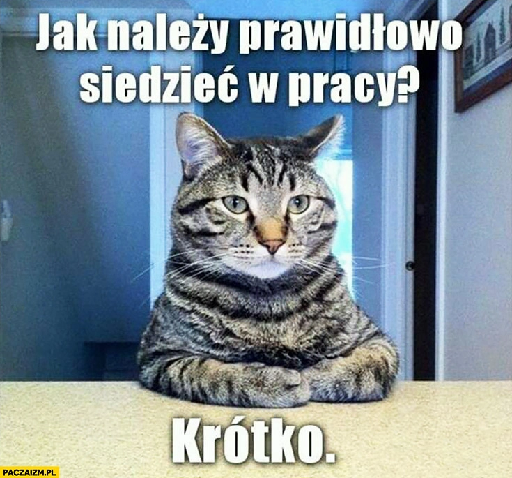 
    Jak należy prawidłowo siedzieć w pracy? Krótko