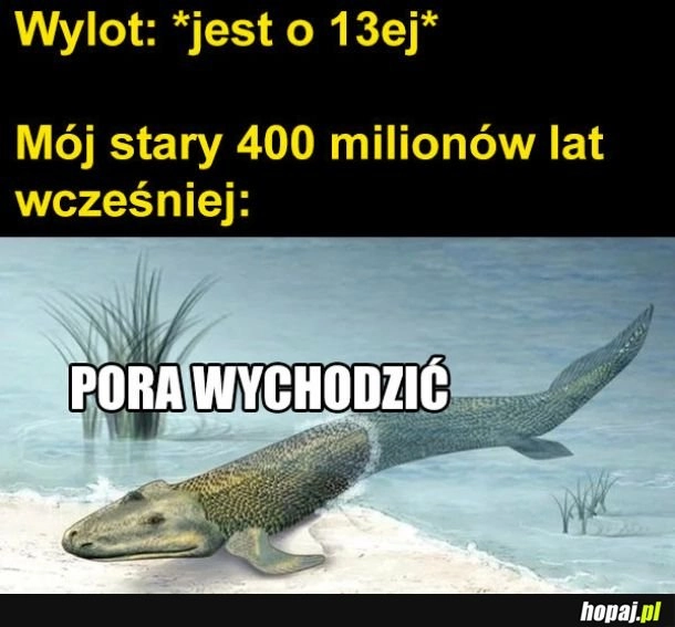 
    Nie możemy się spóźnić