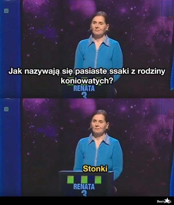 
    Ssaki z rodziny koniowatych 