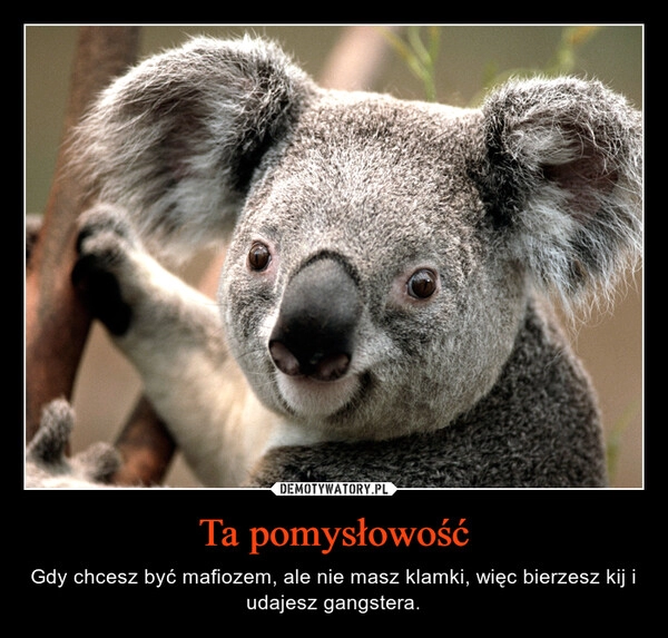 
    Ta pomysłowość