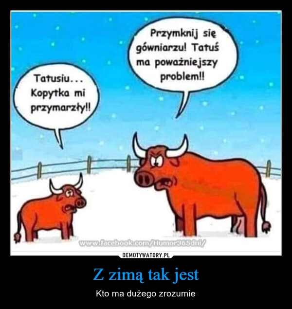 
    Z zimą tak jest