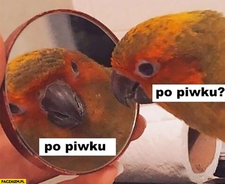 
    Po piwku papuga pyta sama siebie w lusterku lustrze