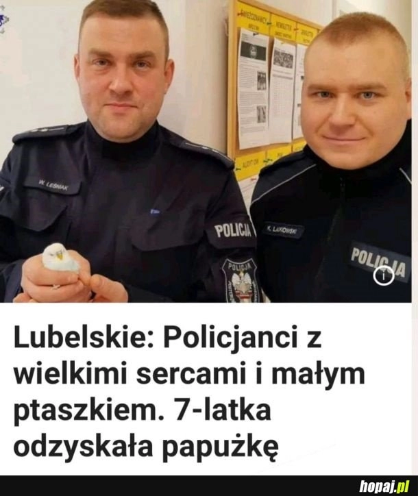 
    Dzielni policjanci!