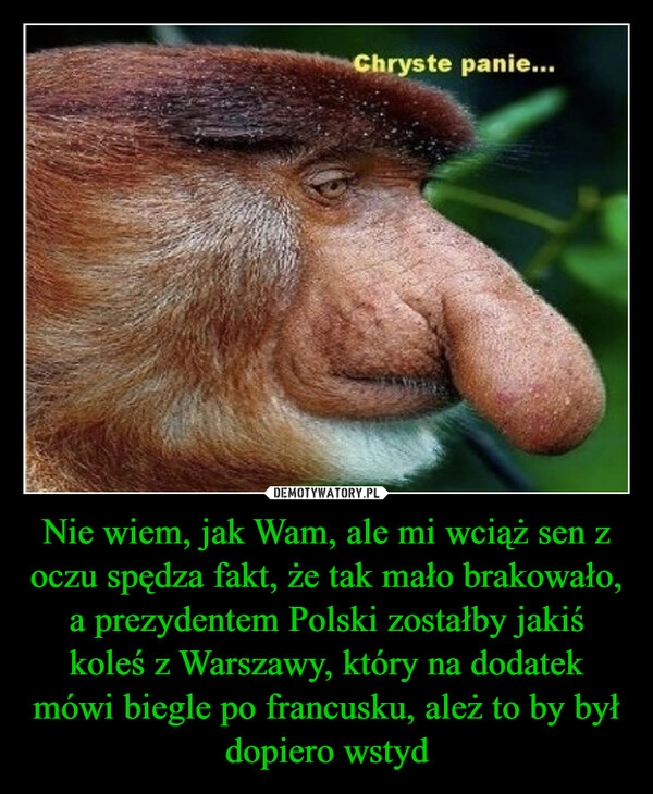 
    Nie wiem, jak Wam, ale mi wciąż sen z oczu spędza fakt, że tak mało brakowało, a prezydentem Polski zostałby jakiś koleś z Warszawy, który na dodatek mówi biegle po francusku, ależ to by był dopiero wstyd