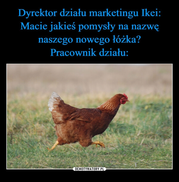 
    Dyrektor działu marketingu Ikei: Macie jakieś pomysły na nazwę naszego nowego łóżka?
Pracownik działu: