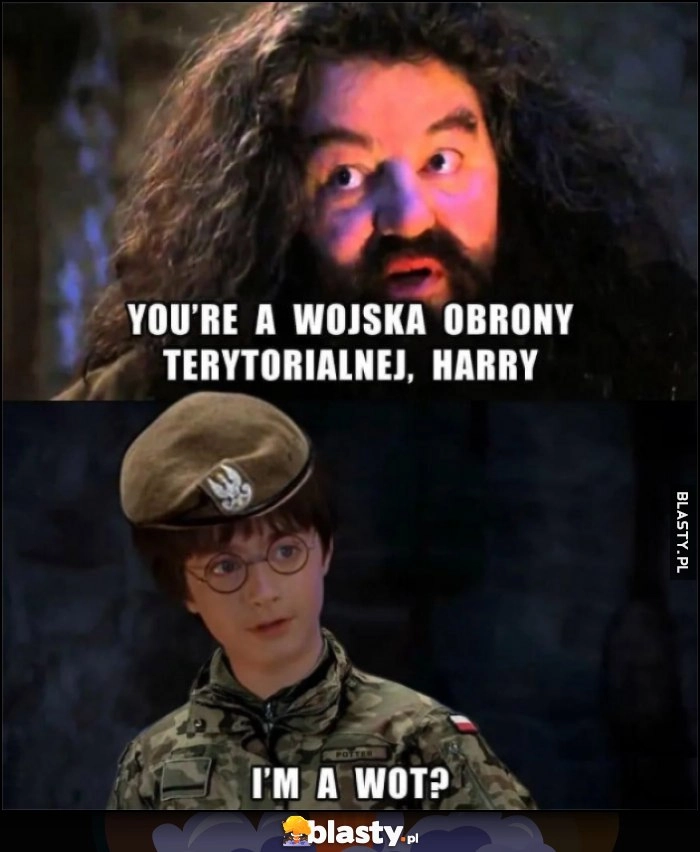 
    You're a Wojska Obrony Terytorialnej, Harry. I'm a WOT?