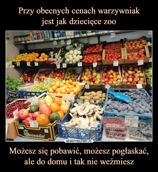 
    Przy obecnych cenach warzywniak
jest jak dziecięce zoo Możesz się pobawić, możesz pogłaskać, ale do domu i tak nie weźmiesz