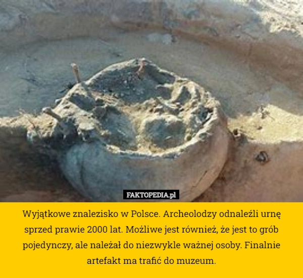 
    Wyjątkowe znalezisko w Polsce. Archeolodzy odnaleźli urnę sprzed prawie