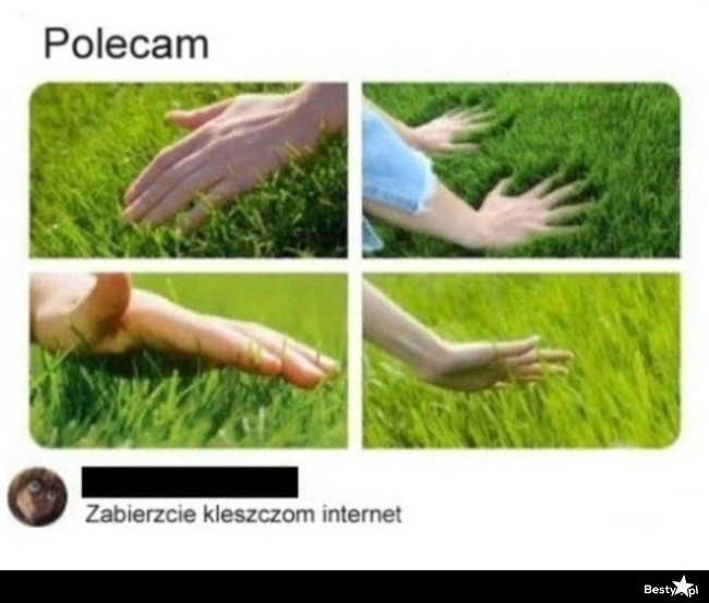 
    Kleszcze i internet  