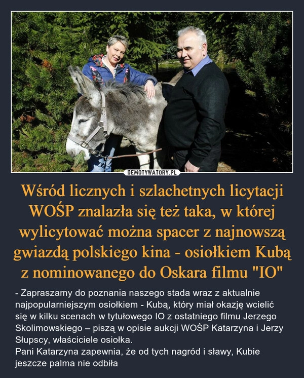 
    Wśród licznych i szlachetnych licytacji WOŚP znalazła się też taka, w której wylicytować można spacer z najnowszą gwiazdą polskiego kina - osiołkiem Kubą z nominowanego do Oskara filmu "IO"