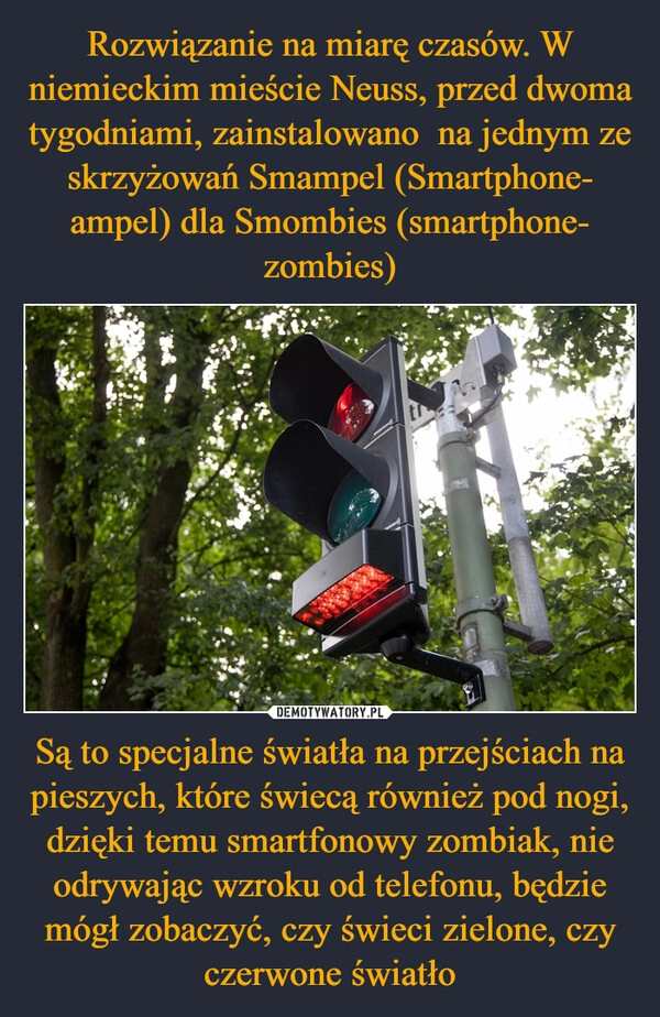 
    Rozwiązanie na miarę czasów. W niemieckim mieście Neuss, przed dwoma tygodniami, zainstalowano  na jednym ze skrzyżowań Smampel (Smartphone- ampel) dla Smombies (smartphone- zombies) Są to specjalne światła na przejściach na pieszych, które świecą również pod nogi, dzięki temu smartfonowy zombiak, nie odrywając wzroku od telefonu, będzie mógł zobaczyć, czy świeci zielone, czy czerwone światło