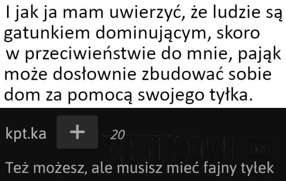 
    I jak ja mam w to uwierzyć?