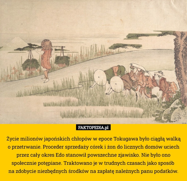 
    Życie milionów japońskich chłopów w epoce Tokugawa było ciągłą walką
 o