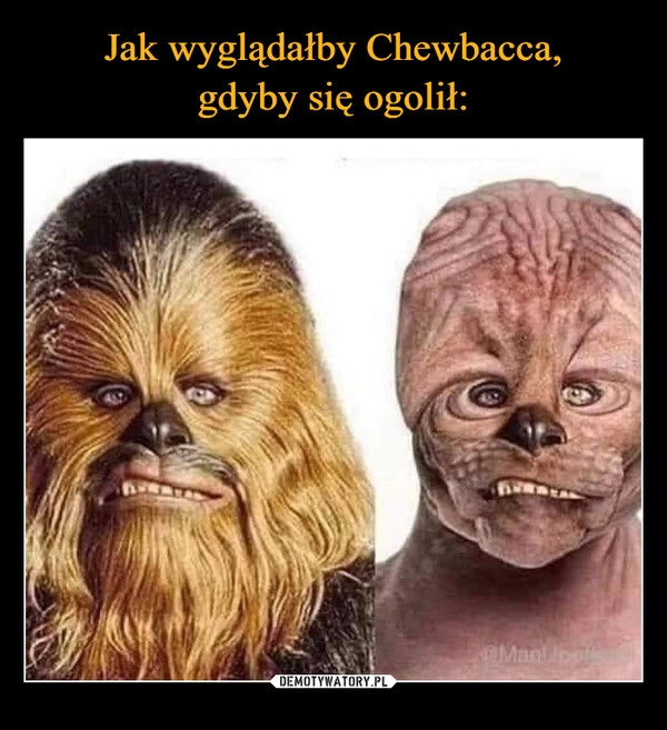 
    Jak wyglądałby Chewbacca,
gdyby się ogolił: