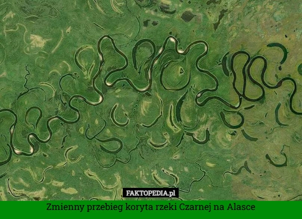 
    Zmienny przebieg koryta rzeki Czarnej na Alasce