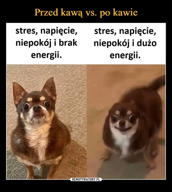 
    Przed kawą vs. po kawie