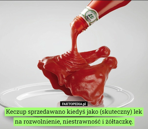 
    Keczup sprzedawano kiedyś jako (skuteczny) lek na rozwolnienie, niestrawność