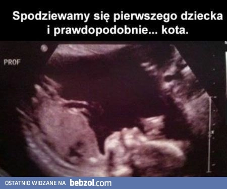 
    Spodziewamy się