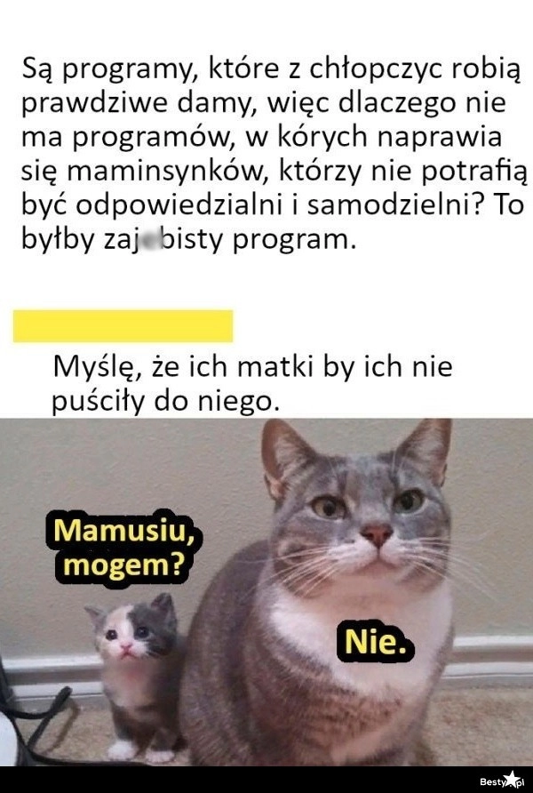 
    Pomysł na program 