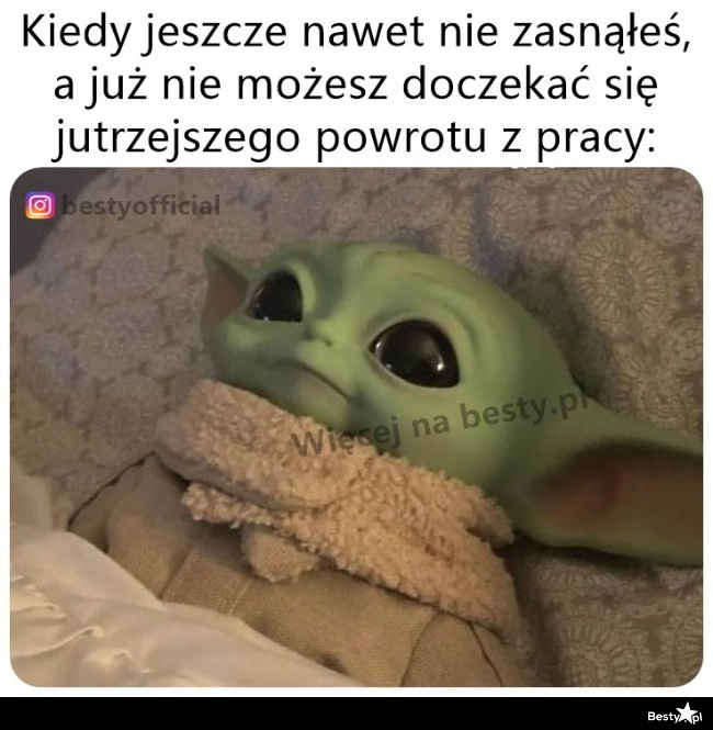 
    Niech już będzie jutro po południu 