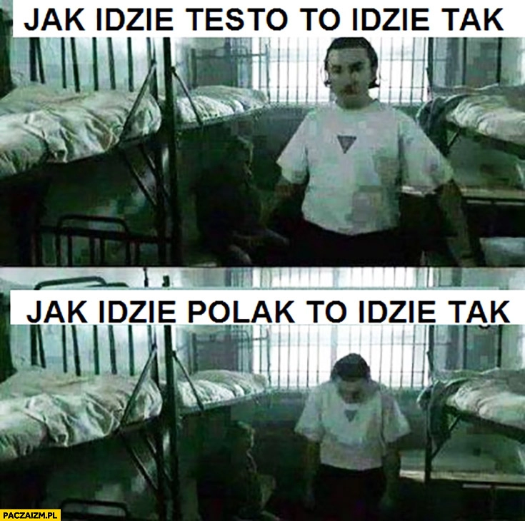 
    Jak idzie Testo to idzie tak, jak idzie Polak to idzie tak Testoviron