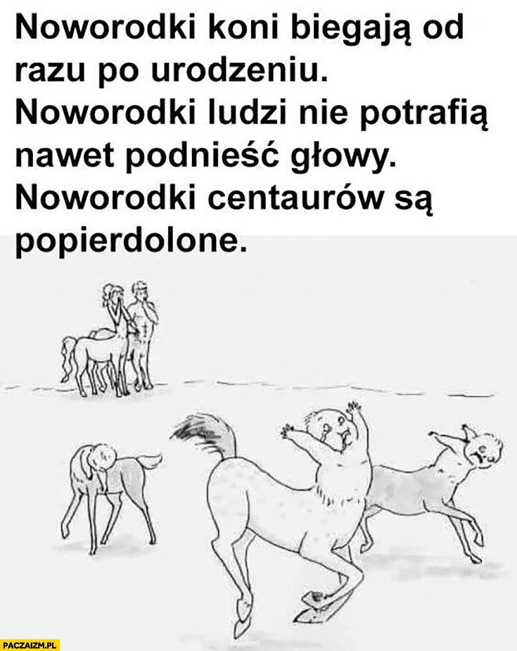 
    Noworodki koni biegają od razu po urodzeniu, noworodki ludzi nie potrafią nawet podnieść głowy, noworodki centaurów są popierdzielone