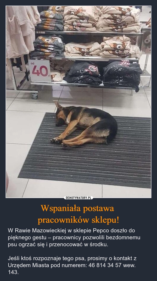 
    Wspaniała postawa 
pracowników sklepu!