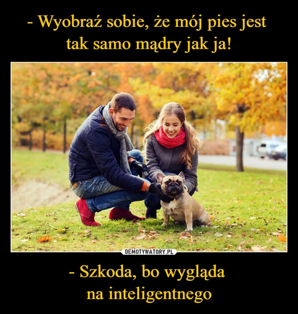 
    - Wyobraź sobie, że mój pies jest 
tak samo mądry jak ja! - Szkoda, bo wygląda 
na inteligentnego